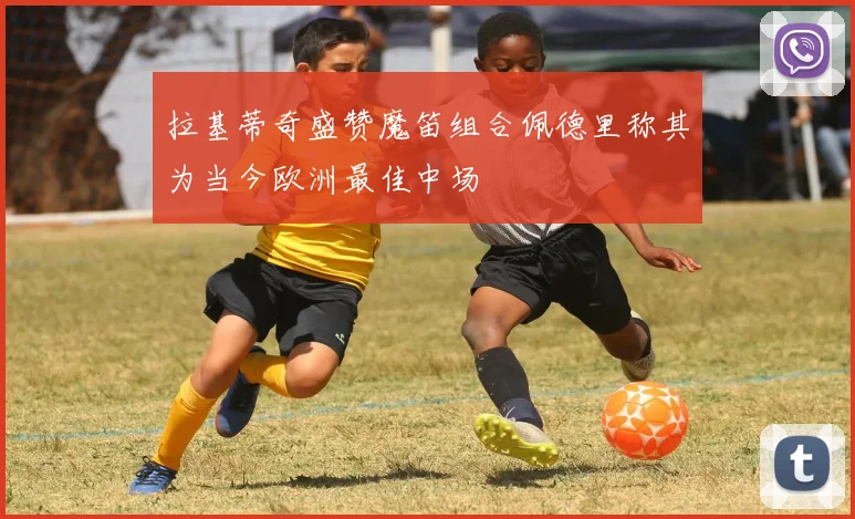 拉基蒂奇盛赞魔笛组合佩德里称其为当今欧洲最佳中场