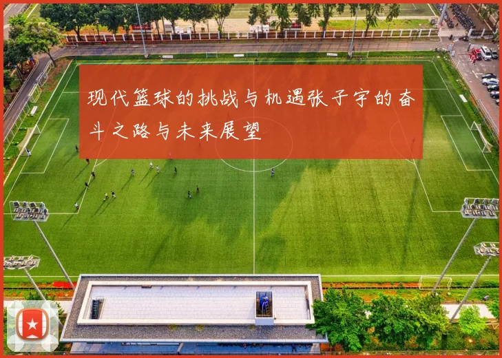 现代篮球的挑战与机遇张子宇的奋斗之路与未来展望