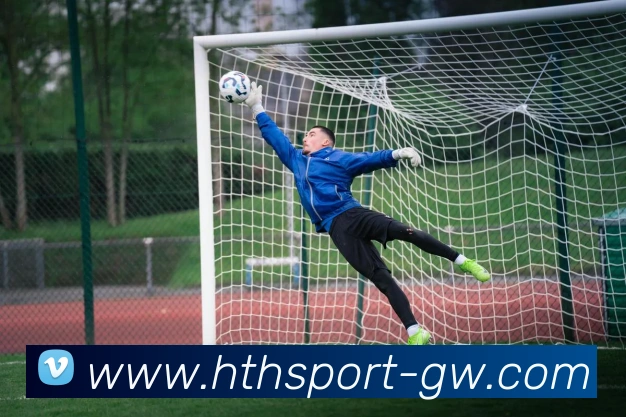 华体会体育平台生态图